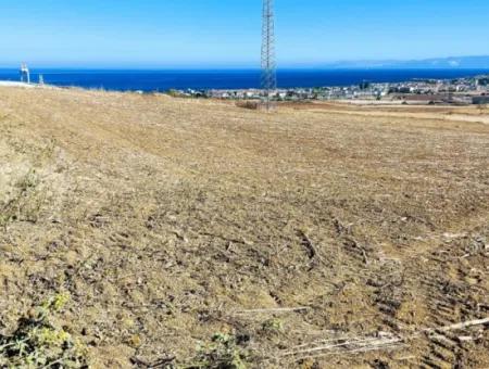 Asyaport Limanı Mevcut İmar Planı İçinde ( Depolama Alanı )