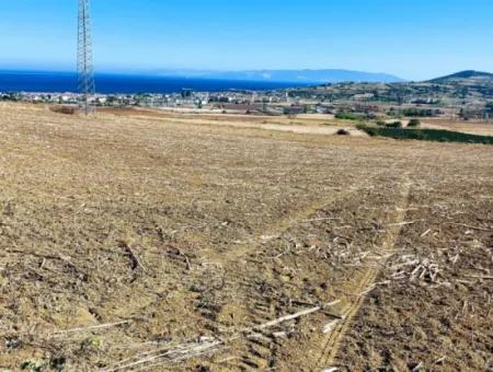 Tekirdağ Barbaros'ta Bulunan 21,900 M2 Arsa, Asyaport Limanı Mevcut İmar Planı İçinde Yer Almaktadır