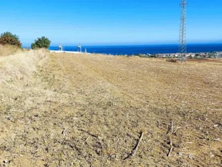 Asyaport Limanı Mevcut İmar Planı İçinde ( Depolama Alanı )