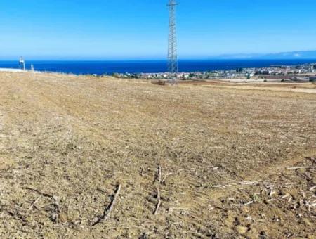 Asyaport Limanı Mevcut İmar Planı İçinde ( Depolama Alanı )