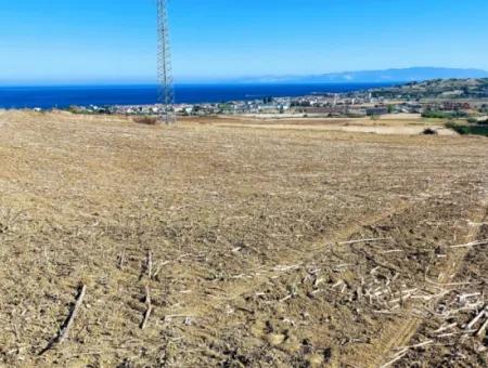 Asyaport Limanı Mevcut İmar Planı İçinde ( Depolama Alanı )