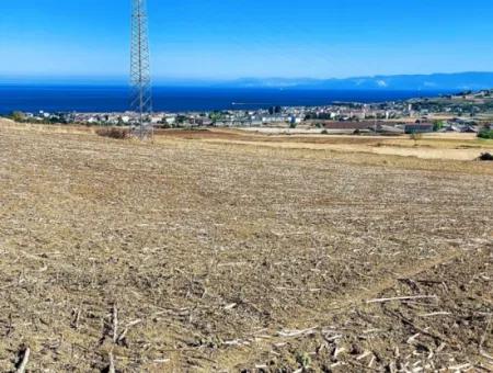 Asyaport Limanı Mevcut İmar Planı İçinde ( Depolama Alanı )
