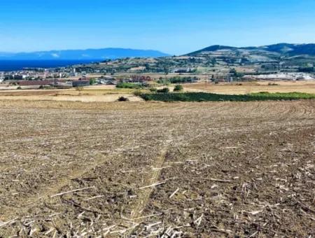 Tekirdağ Barbaros'ta Bulunan 21,900 M2 Arsa, Asyaport Limanı Mevcut İmar Planı İçinde Yer Almaktadır