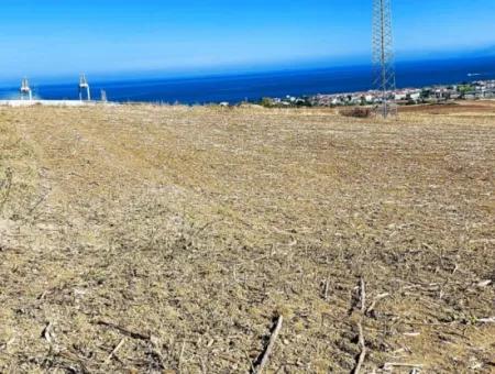 Asyaport Limanı Mevcut İmar Planı İçinde ( Depolama Alanı )
