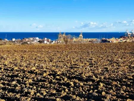 Tekirdağ Barbaros Asyaport Limanına Yakın, Muazzam Manzaralı 17.100 M2 Konut İmarlı Tarla