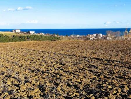 Tekirdağ Barbaros Asyaport Limanına Yakın, Muazzam Manzaralı 17.100 M2 Konut İmarlı Tarla