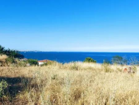 Tekirdağ Barbaros'ta Full Deniz Manzaralı, 3 Adet Villa İçin Uygun 590 M2 Arsa!