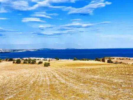Tekirdağ Barbaros'ta Full Deniz Ve Doğa Manzaralı, 34 Dönüm Villa İmarlı Yatırım Fırsatı!