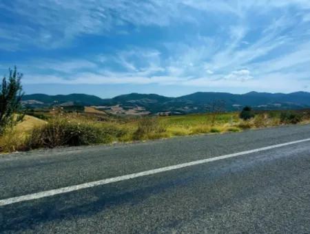 Tekirdağ Çanakçı Mahallesinde Yaz Kış Açık Yol Avantajıyla 10.500 M2 Yatırımlık Tarla! Ailece Piknik, Bağcılık Ve Hobi Bahçesi İçin Harika Fırsat