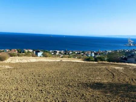 Tekirdağ Barbaros'ta 16.850 M2 Deniz Ve Doğa Manzaralı Kooperatif Ve Site İmarlı Yatırım Arsa!