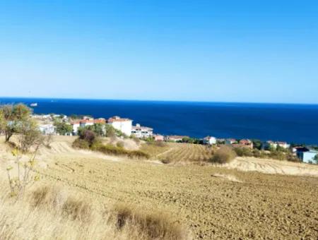 Tekirdağ Barbaros'ta 16.850 M2 Deniz Ve Doğa Manzaralı Kooperatif Ve Site İmarlı Yatırım Arsa!