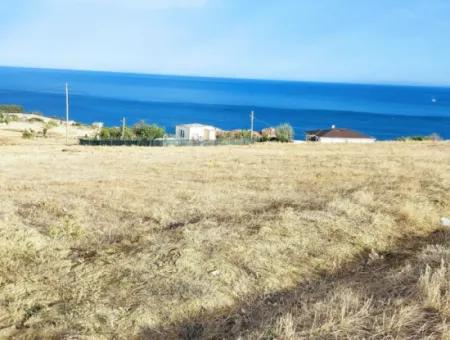 Tekirdağ Barbaros'ta Acil Satılık Full Deniz Ve Doğa Manzaralı Arsa