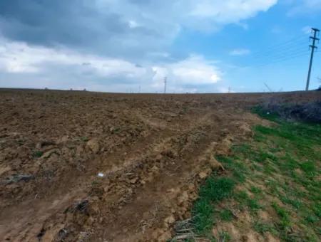 Tekirdağ Barbaros Bölgesinde Asyaport Limanı Mevcut İmar Planı İçinde Ticari Ve Sanayi Alanı Yatırım Fırsatı