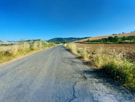 Tekirdağ Naip Mahallesinde Acil Satılık Anayol Cepheli Tıny House Koymaya Uygun Kupon Tarla