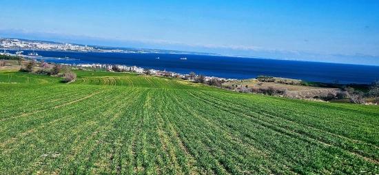 Tekirdağ Barbarosta 75 Adet Villa Projesine Uygun Full Deniz Ve Doğa Manzaralı Arazi