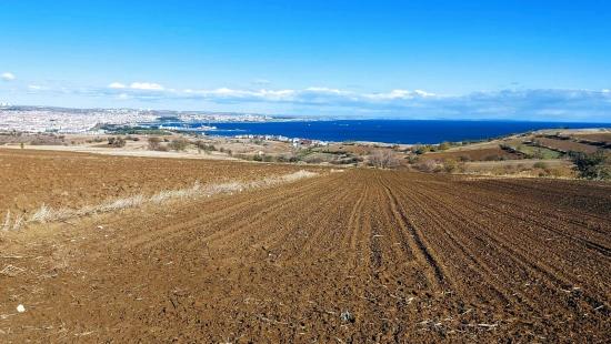 Tekirdağ Barbaros'ta Panoramik Deniz Ve Şehir Manzaralı Arsa