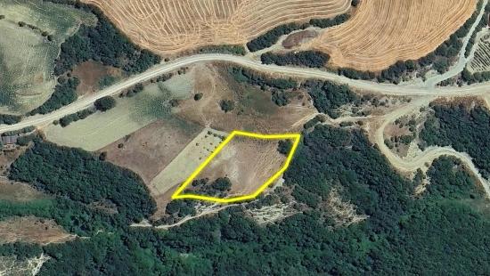 Müstakil Parsel Tek Tapu Hisseli Değil Köy İmar Sınırına Çok Yakın Acil Satılık Fırsat Ara