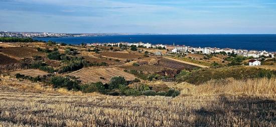 Tekirdağ Topağaç Mahallesinde Full Deniz Manzarlı 1.150 M2 Kelepir Yer