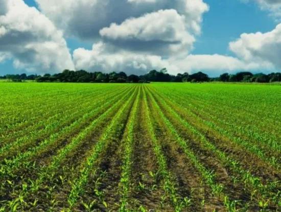 Tekirdağ Süleymanpaşa  Atatürk Mahallesi