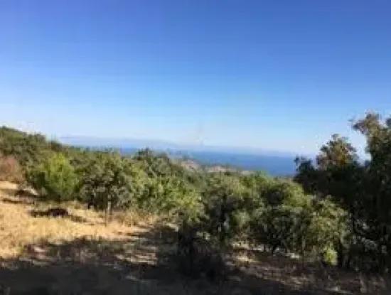 Tekirdağ Süleymanpaşa  Bahçelievler Mahallesi