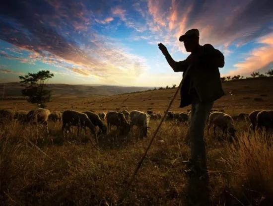 Αγοράστε Γη Στο Tekirdag