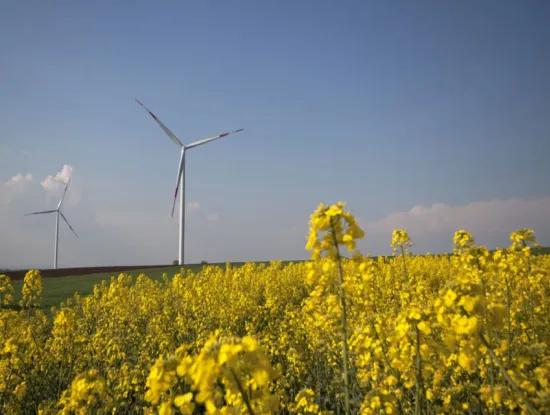 Текирдаг За Продажба, Под Наем, Земя, Поле, Апартамент, Самостоятелна Къща, Хотел, Вила, Хотел, Msc Asia Port, Зониран, Изгодна, Море, Природа, Пейзаж, Сглобяема Къща