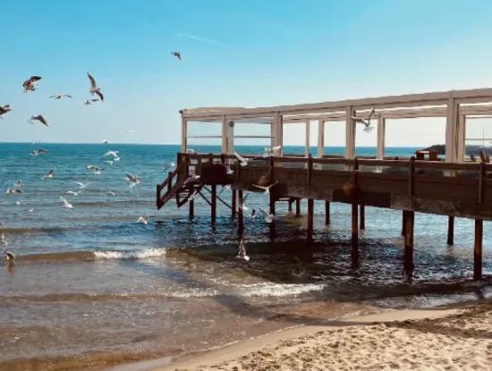 Kumbağ Balık Restaurantları